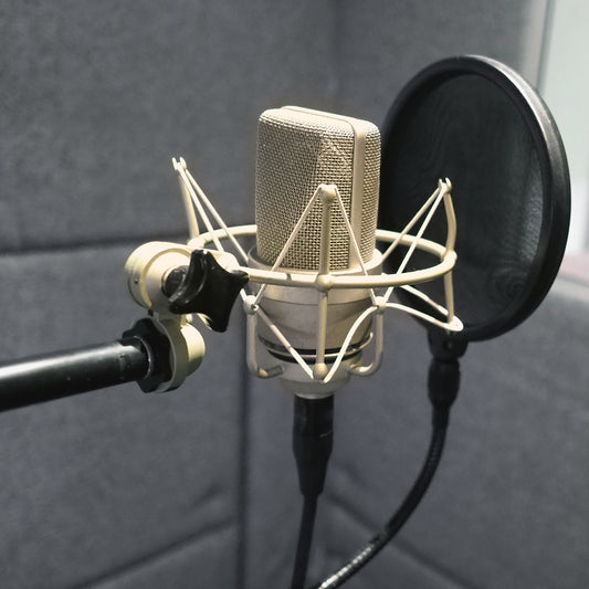 studio microphone with shock mount and pop filter blog feature
